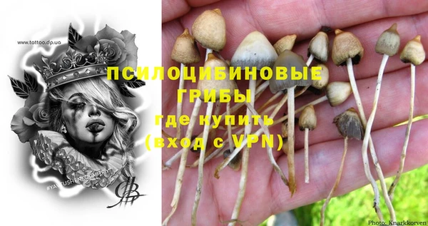 кокаин премиум Алексеевка