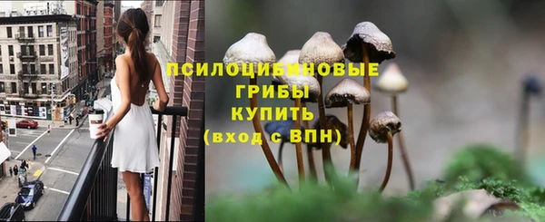 герыч Алзамай